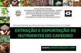 EXTRAÇÃO E EXPORTAÇÃO DE NUTRIENTES DO CAFEEIRO