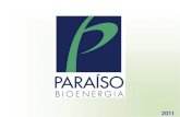 Dario gaeta   paraiso bioenergia biodiesels