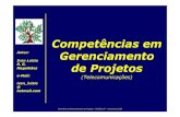 Competências em Gerenciamento de Projetos - Ivan Luizio Magalhães