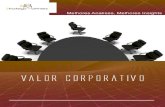 E-Book Valor Corporativo DOM Strategy Partners 2010