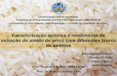 Caracterização química e rendimento de arroz