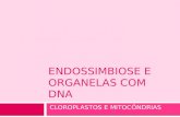 Endossimbiose e Organelas Com DNA
