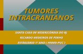 Conferencia Sobre Tumores Intracranianos