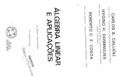 Álgebra Linear e Aplicações - Carlos A. Callioli, Roberto C. F. Costa, Hygino H. Domingues