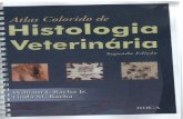 Atlas Colorido Histologia Veterinária - William Bacha, Linda Bacha (Segunda Edição, 2003)