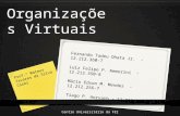 Organizações Virtuais - 2º sem. 2012