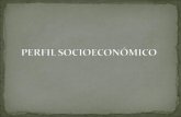 Socio-economic data on 2010/2009-clients Sodireitos