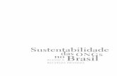 Sustentabilidade das ONGs no Brasil: acesso a recursos privados