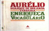 FERREIRA, Aurélio Buarque de Holanda. Enriqueça seu vocabulário.