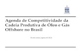 Cadeia Produtivo de Oleo e Gas Offshore no Brasil