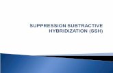Suppression Subtractive Hybridization 2