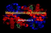 Metabolismo de las Proteínas