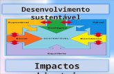 Desenvolvimento sustentável e impactos ambientais