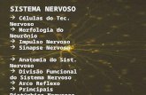 Biologia - Sistema Nervoso - slide 2 - Monica