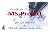 Gestão de Projetos com MS-Project 2010