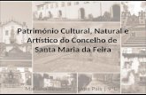 Patrimonio cultural, natural e artistico de Santa Maria da Feira