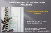 Território e Gestão Ambiental na Amazônia