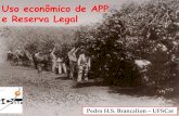 Opções para uso econômico da RL e APP - Pedro Henrique Santin Brancalion (ESALQ)