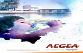 Relatório Anual Aegea Saneamento 2012. (MZ Group)