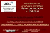 Indicadores da producao cientifica: fator de impacto e indice-h (2009)