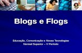 Blogs e Flogs