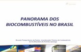 Panorama Dos Biocombustiveis no BrasilNo Brasil
