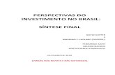 Perspectivas de investimento no brasil  final