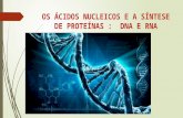 Os ácidos nucleicos e a síntese de proteínas