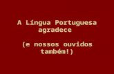 Erros de português. Muito legal!