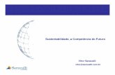 Sustentabilidade, a competência do futuro - Vitor Seravalli