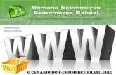 Panorama do Ecommerce Brasileiro