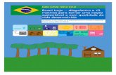 Brasil hoje - diagnóstico e 12 motivos para tornar uma nação sustentável e com qualidade de vida desenvolvida (em português)