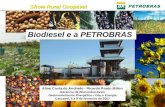 Biodiesel petrobras   cascavel - fev07 03