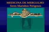 Medicina IX - SeresMarinhos.
