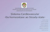 Sistema Cardiovascular - Da homeostase ao Steady State