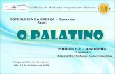 01 - Palatino