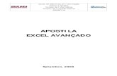 Apostila Excel 2007 Avançado