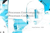 Processos Emocionais E Processos Conativos