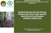 Dia 2 - Estratégias de politicas públicas para uma maior adoção de sistemas agroflorestais - Paulo Augusto Lobato da Silva