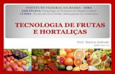 Aulas 03 e 04 tecnologia de frutas e hortaliças