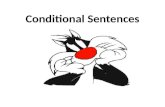 Conditinal sentences
