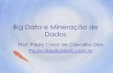 Palestra big data_e_mineracao_dedados_5agosto13-versaoslideshare