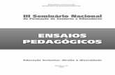 Ensaios pedagogicos 2006