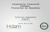 Estado da Arte de Inventrio de Carbono por Francisco Higuchi- Treinamento GCF/Macap