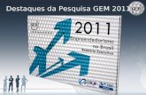 Principais destaque da pesquisa GEM 2011