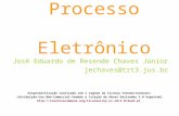 Princiipios do Processo  Eletrônico
