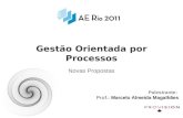 AE Rio 2011 - Gestao por processo - Marcelo Magalhaes