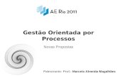 AE Rio 2011-Gestao_orientada_por_processos-Novas_propostas
