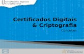 Certificados Digitais & Criptografia