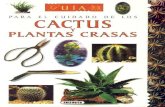 Guia Para El Cuidado de Cactus y Plantas Crasas -Juan-Daniel Nessmann